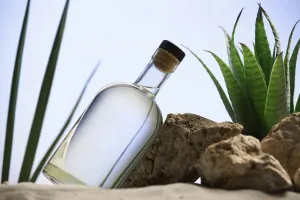 Meksyk od kuchni tradycje smaki i zwyczaje